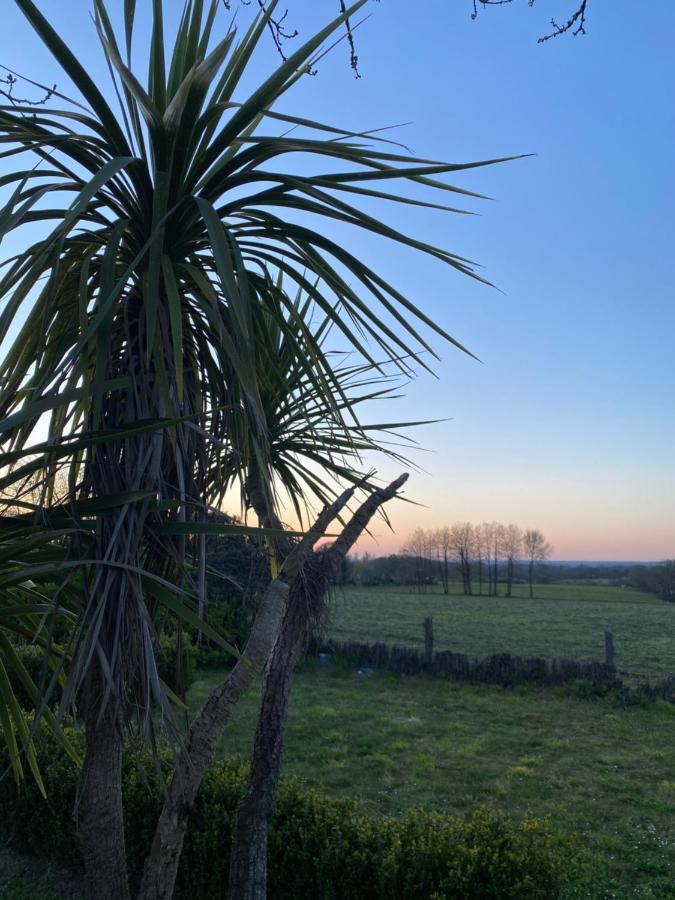 Maisonbel, Gite Convivial Bretagne Vannes Sarzeau 15 Personnes Surzur Exteriör bild